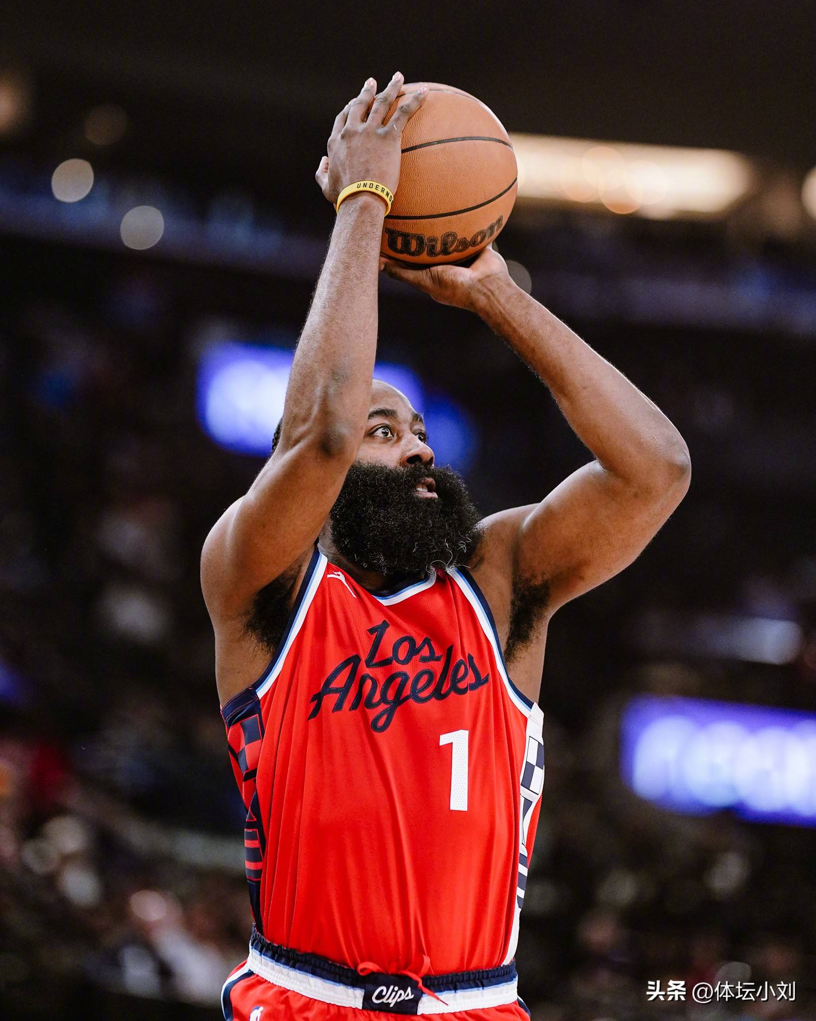 从不偷懒的 从不偷懒的